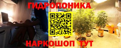 каннабис Заволжье
