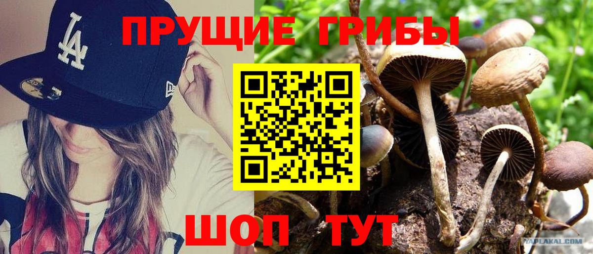 Луховицы  Псилоцибиновые грибы Magic Shrooms  Вход с VPN 