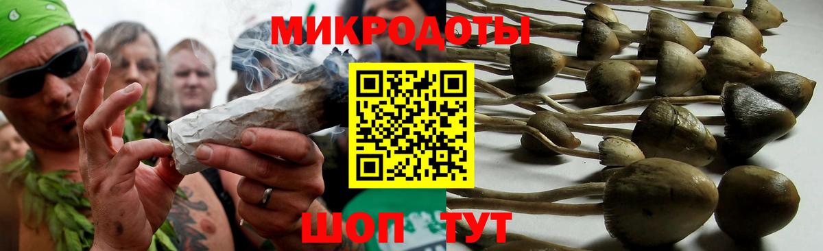 Псилоцибиновые грибы прущие грибы Луховицы